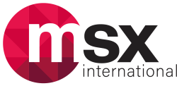 MSX International