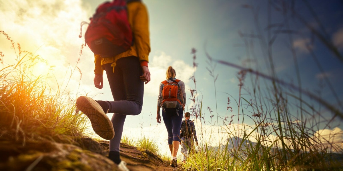 Drei Arbeiter während ihres Sabbatical auf Wanderung